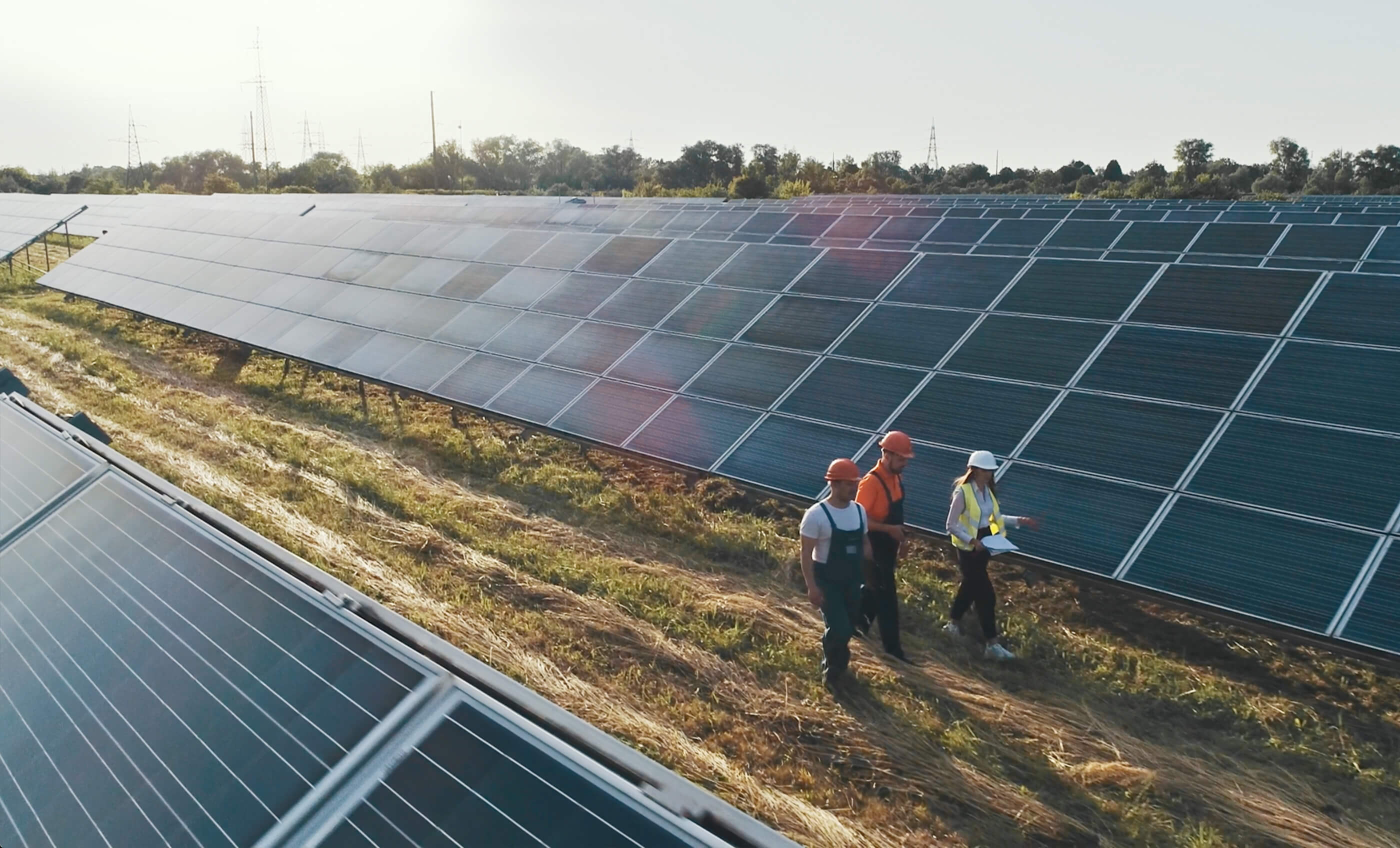 people walking by solar panels