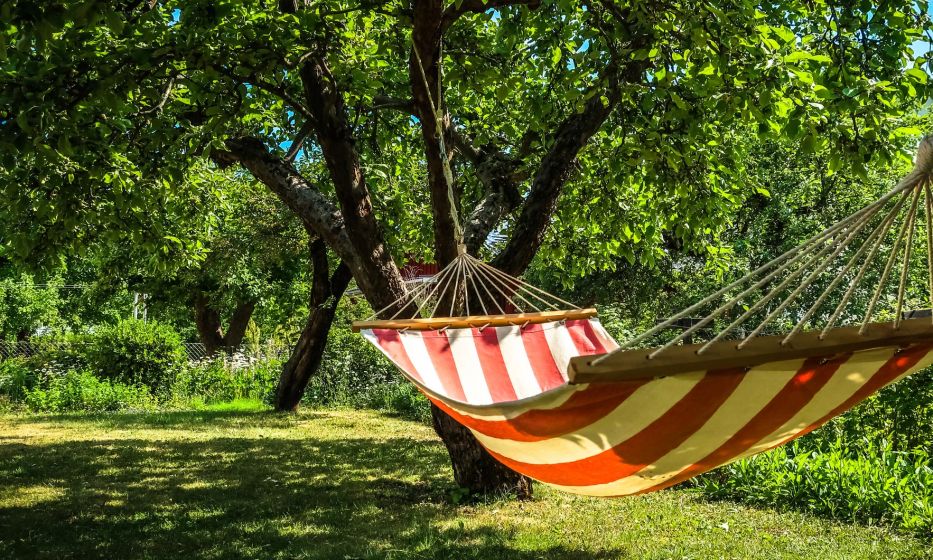 Summer Hammock